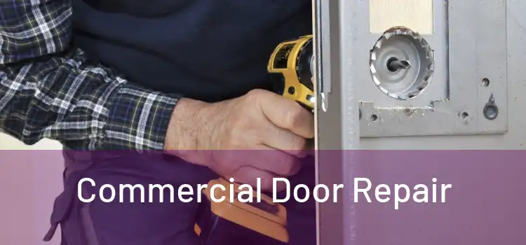  Commercial Door Repair 